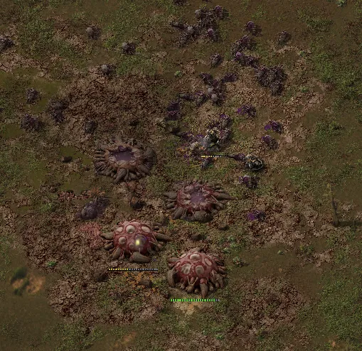 Biter nest
